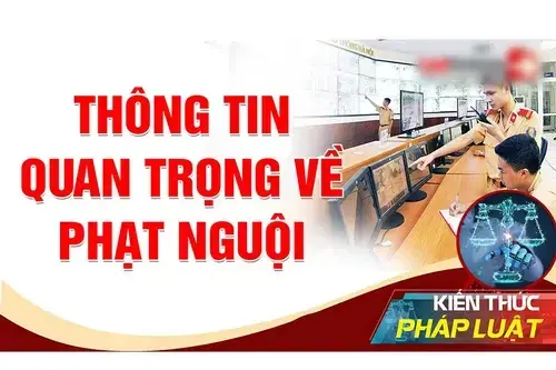 5-diem-moi-trong-quy-dinh-phat-nguoi-o-to-chu-xe-can-biet