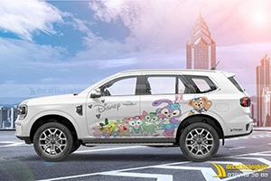 Tem Xe Ford Everest - FEV029