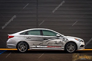 Tem Xe Hyundai Sonata - HSO001