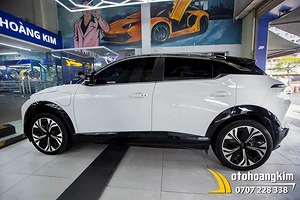 Dán PPF Protek Xe VF6