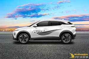 Tem Xe Vinfast Vf6 - VF6002