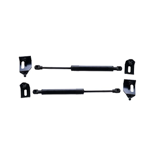 Ty Capo Ford Ranger 2022+/Everest 2022