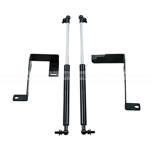 Ty capo Kia Carnival 2022