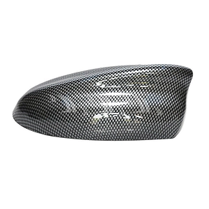 Đuôi cá ăng ten lớn cacbon