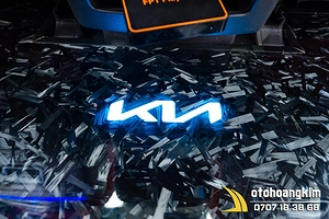 Sàn cacbon cho xe 7 chỗ Kia Carnival