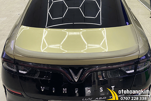 Đuôi cá Lux A Thấp