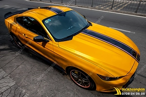 Tem Xe Ford Mustang - FMU002