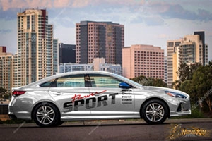 Tem Xe Hyundai Elantra - HEL011