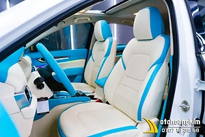 meo-chon-mau-boc-ghe-da-o-to-mang-lai-nhieu-tai-loc