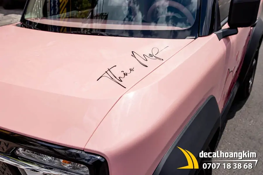 Tem xe Vinfast VF3 - Tem heo hồng dễ thương - Ảnh 4