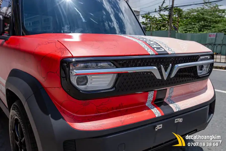 Tem xe Vinfast VF3 - Mẫu tem Dior sang trọng - Ảnh 9