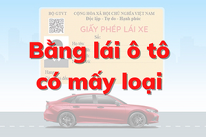 cac-loai-bang-lai-xe-o-to-luat-moi-2025-va-nhung-thay-doi-quan