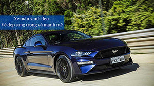 xe-mau-xanh-den-ve-dep-sang-trong-va-manh-me