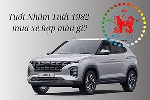 nam-nu-tuoi-nham-tuat-1982-mua-xe-hop-mau-gi