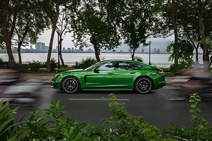 sinh-nam-1981-mua-xe-hop-voi-mau-gi