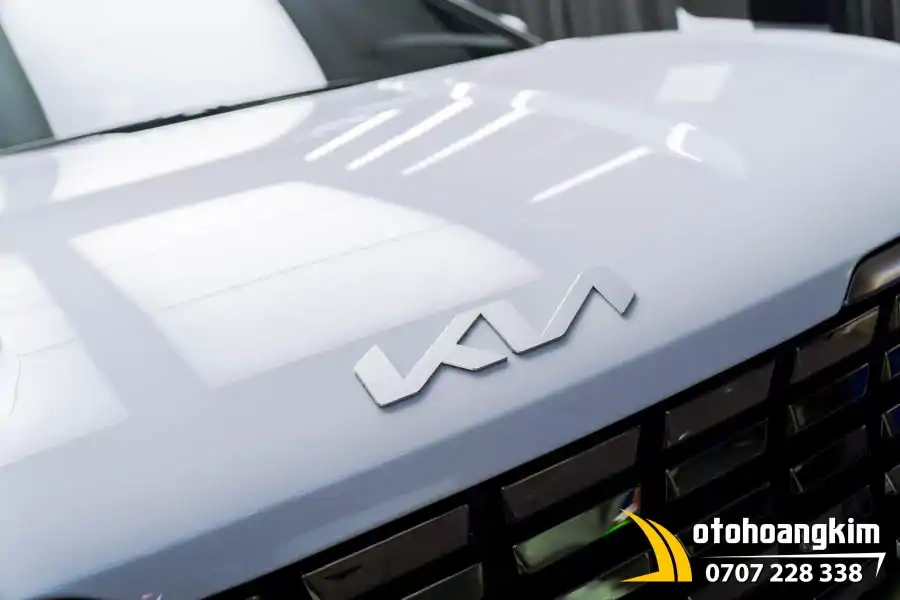 Dán PPF Tackwrap Xe Kia Carnival - Ảnh 2