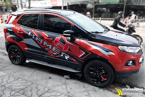 Tem in Ford Ecosport