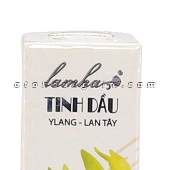 Tinh dầu Lam Hà lan tây