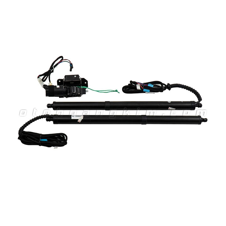 Ty cốp điện Mitsubishi Outlander [2016-2020]