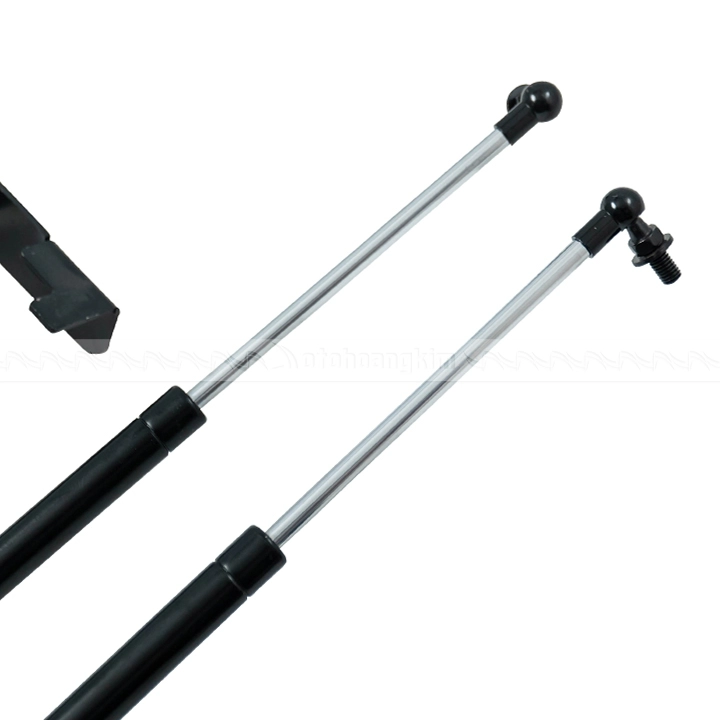 Ty capo Kia Carnival 2022