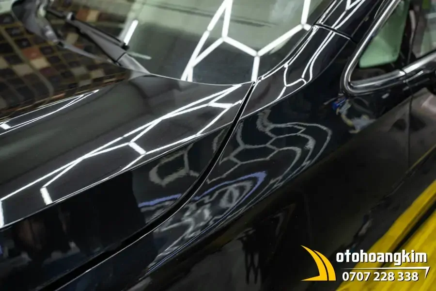 Dán PPF Protek Xe Viloran - Ảnh 4