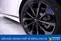 Dán đổi màu bạc mâm xe Vinfast Lux A2.0 - ảnh 1