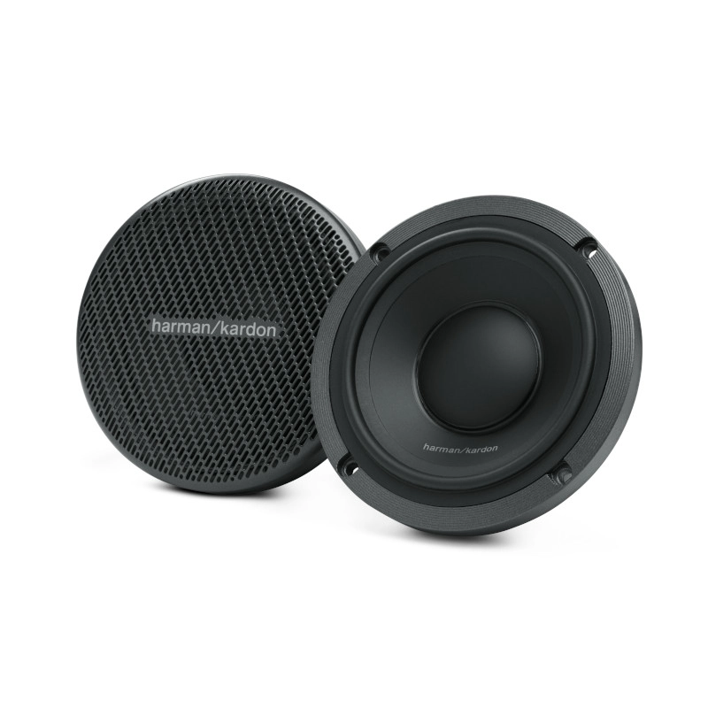 Loa Harman/Kardon FLOW 300S - Ảnh 1