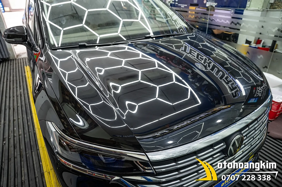 Dán PPF Protek Xe Viloran - Ảnh 1