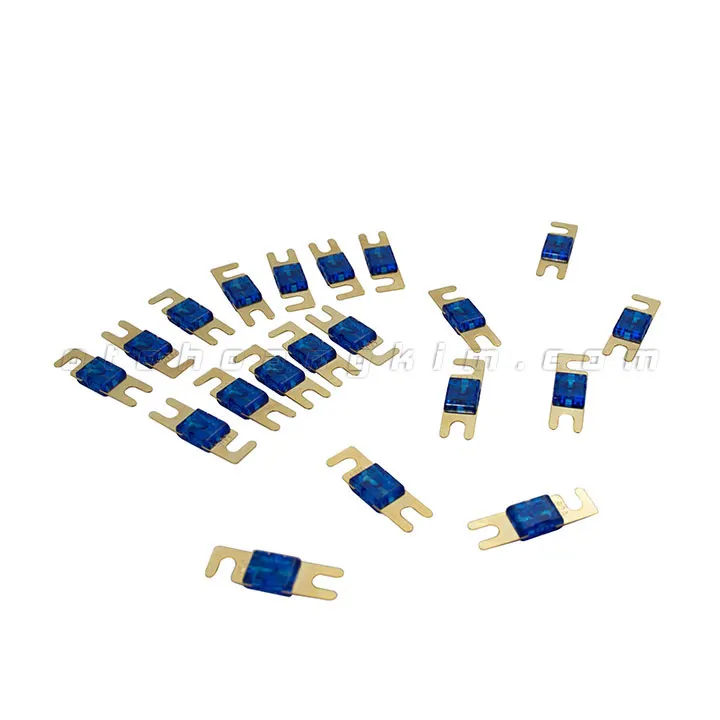 Cầu chì Magic source ANL 60A nhỏ - Ảnh 3