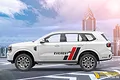 Tem Xe Ford Everest - FEV023 - ảnh 1
