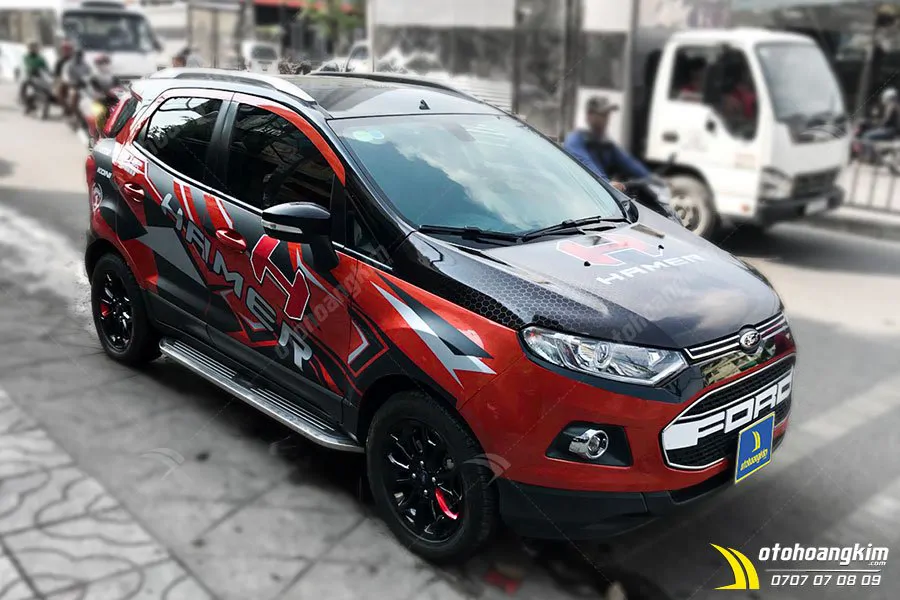 Tem in Ford Ecosport - Ảnh 2