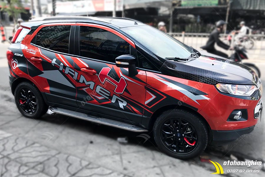 Tem in Ford Ecosport - Ảnh 1