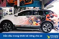 Tem Xe Honda Crv - ảnh 8