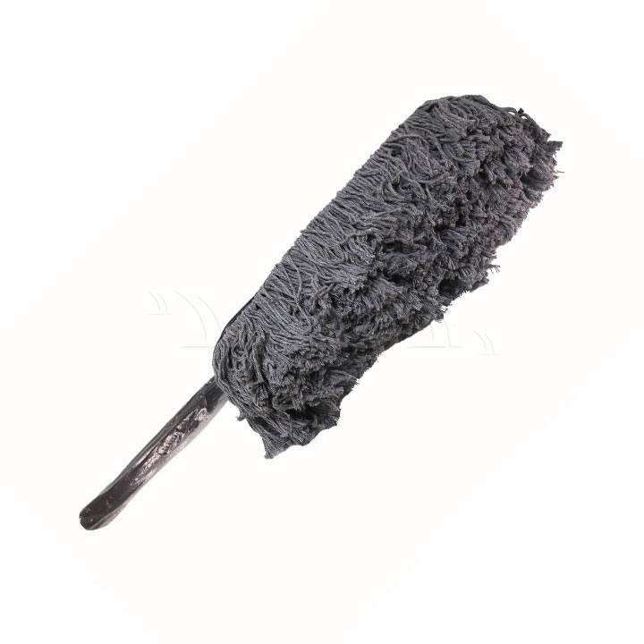 Chổi xám - Ảnh 1