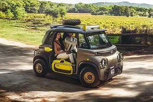 oto-dien-mini-khong-cua-qua-an-khach