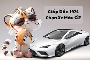 nam-nu-tuoi-giap-dan-1974-hop-xe-mau-gi