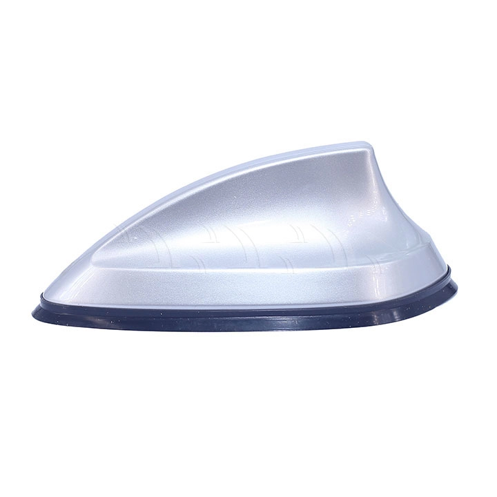 Đuôi cá ăng ten trung bạc - Ảnh 1