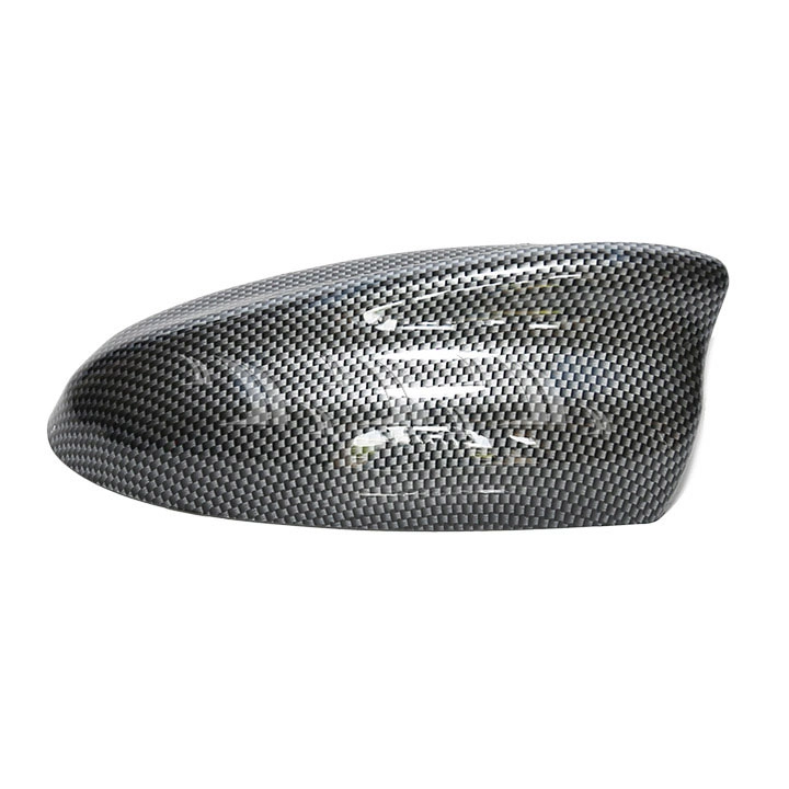 Đuôi cá ăng ten lớn cacbon - Ảnh 1