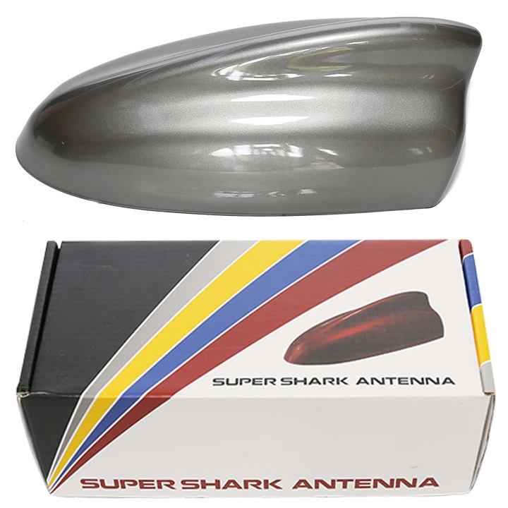 Đuôi cá ăng ten lớn màu xám lông chuột