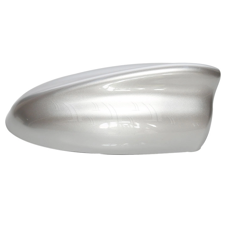 Đuôi cá ăng ten lớn màu bạc - Ảnh 1