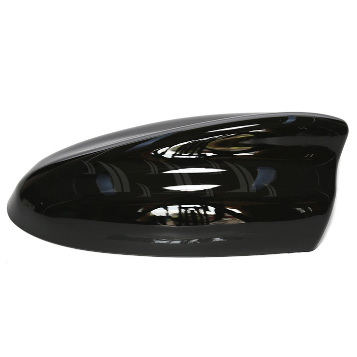 Đuôi cá ăng ten lớn màu đen - Ảnh 1