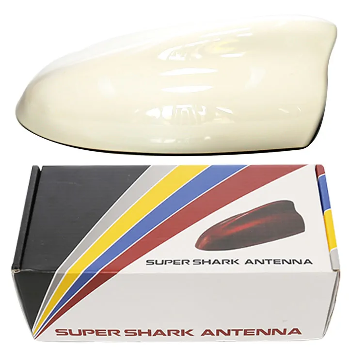 Đuôi cá ăng ten lớn màu trắng - Ảnh 3