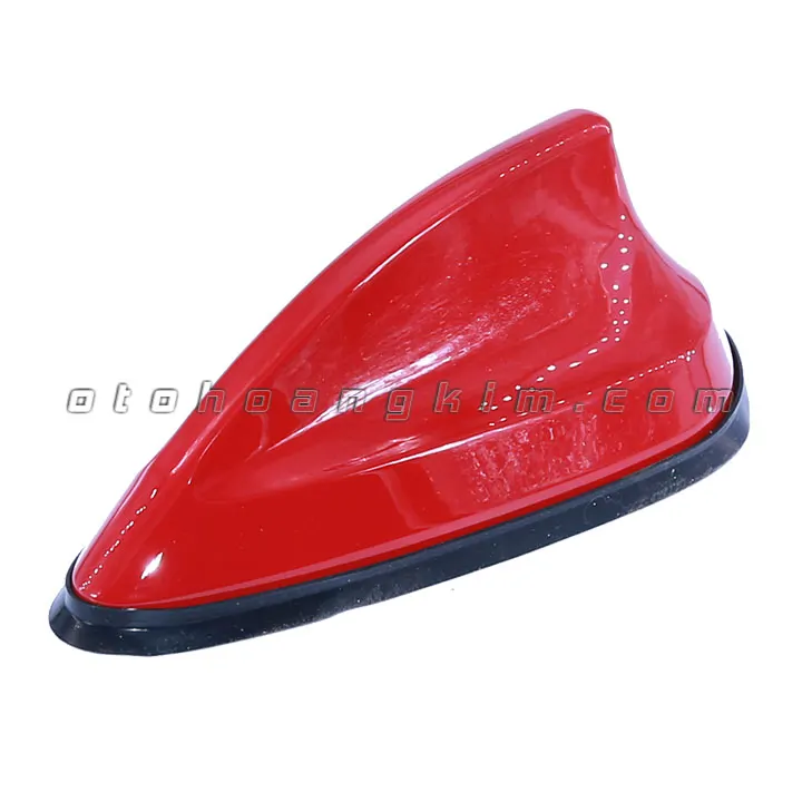 Đuôi cá ăng ten trung đỏ - Ảnh 3