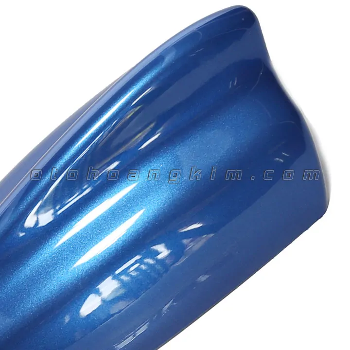 Đuôi cá ăng ten lớn màu xanh - Ảnh 2