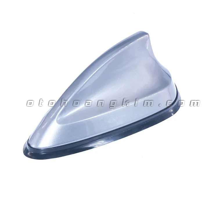 Đuôi cá ăng ten trung xám - Ảnh 2