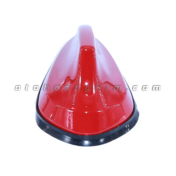 Đuôi cá ăng ten trung đỏ - Ảnh 2