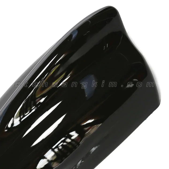 Đuôi cá ăng ten lớn màu đen - Ảnh 2