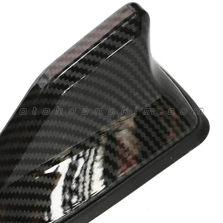 Đuôi cá ăng ten Cacbon - Ảnh 2