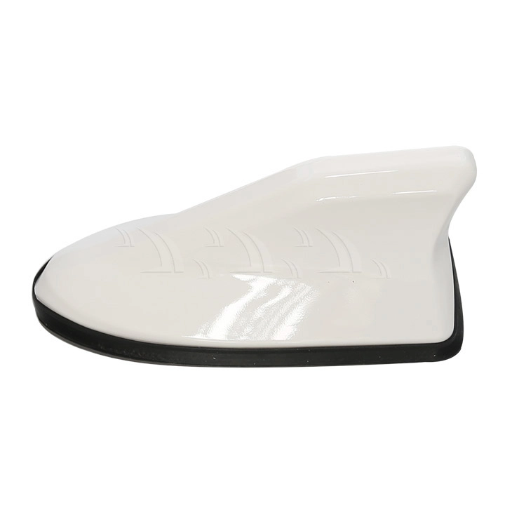 Đuôi cá ăng ten màu trắng - Ảnh 1