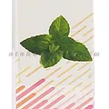Tinh dầu Lam Hà Bạc hà - ảnh 2